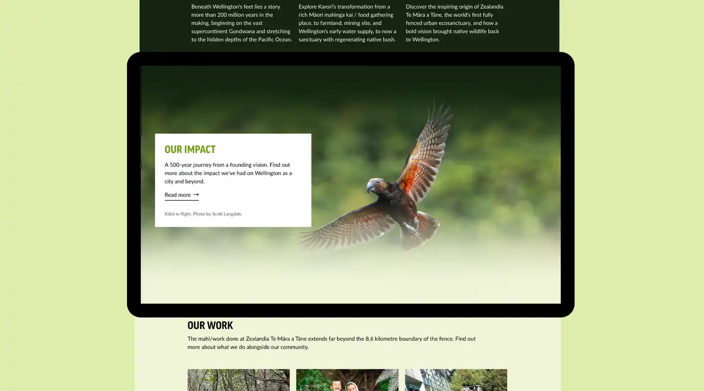 Zealandia impact page