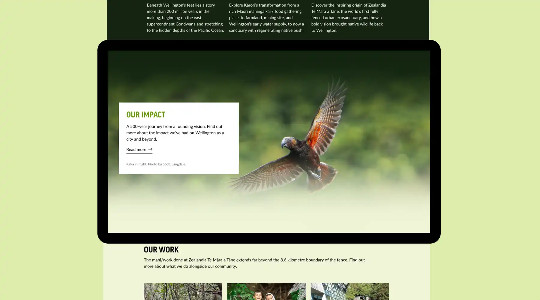 Desktop showing impact landing page