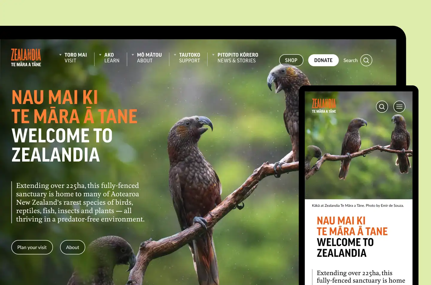 Zealandia homepage on desktop and mobile view