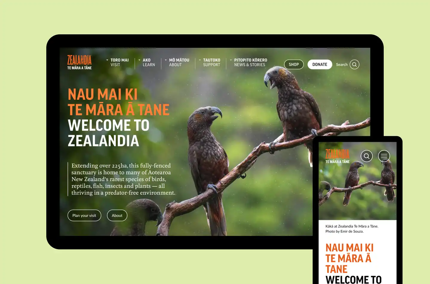 Zealandia homepage on mobile and desktop view