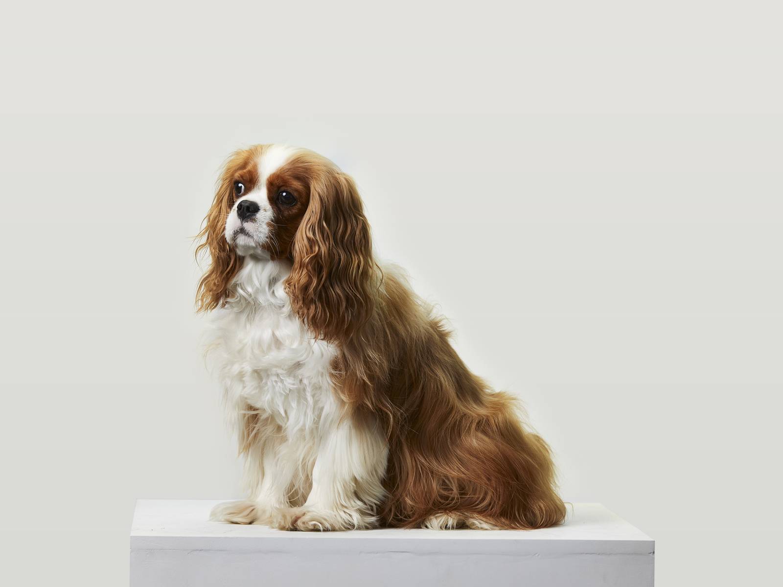 A profile image of Milton
