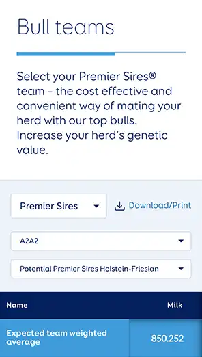 Screenshot of the Bull teams page