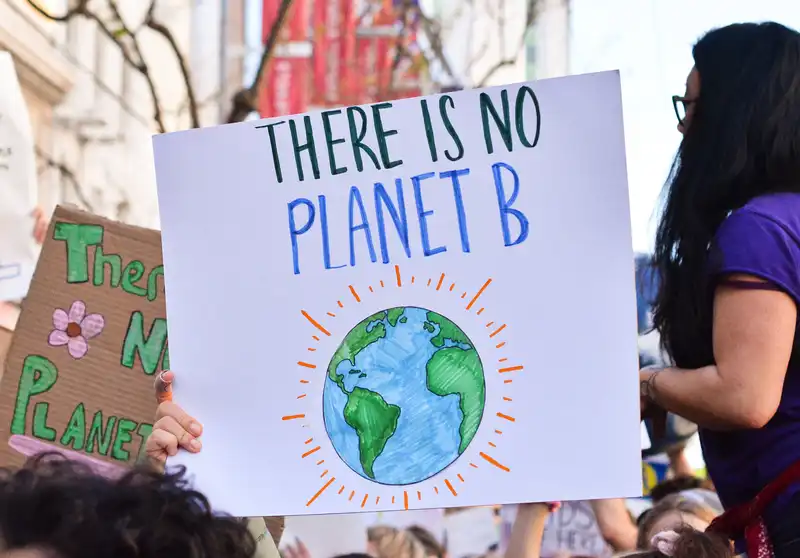 Springload joins the global climate strike