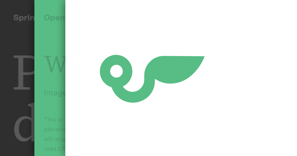 Springload Te Pipītanga – Digital agency – Wellington, New Zealand